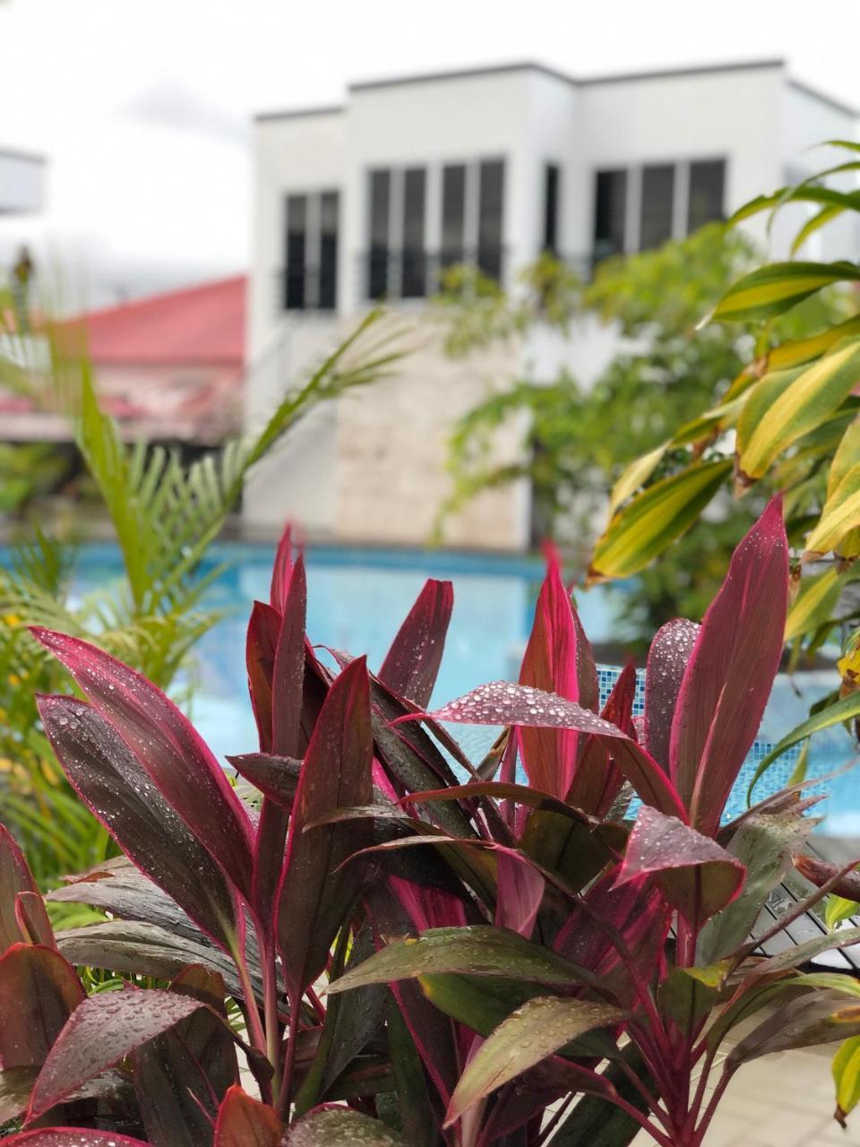 Tucan Resort & Spa Paramaribo Exteriér fotografie